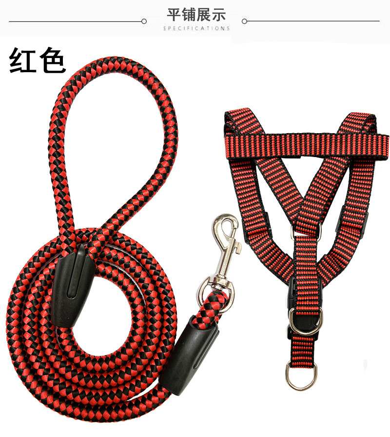 982280da-06cf-44ca-af6d-5431be497643.jpe