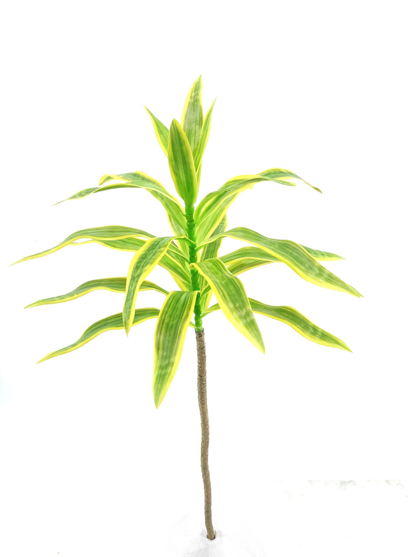 微信图片_20230414200755