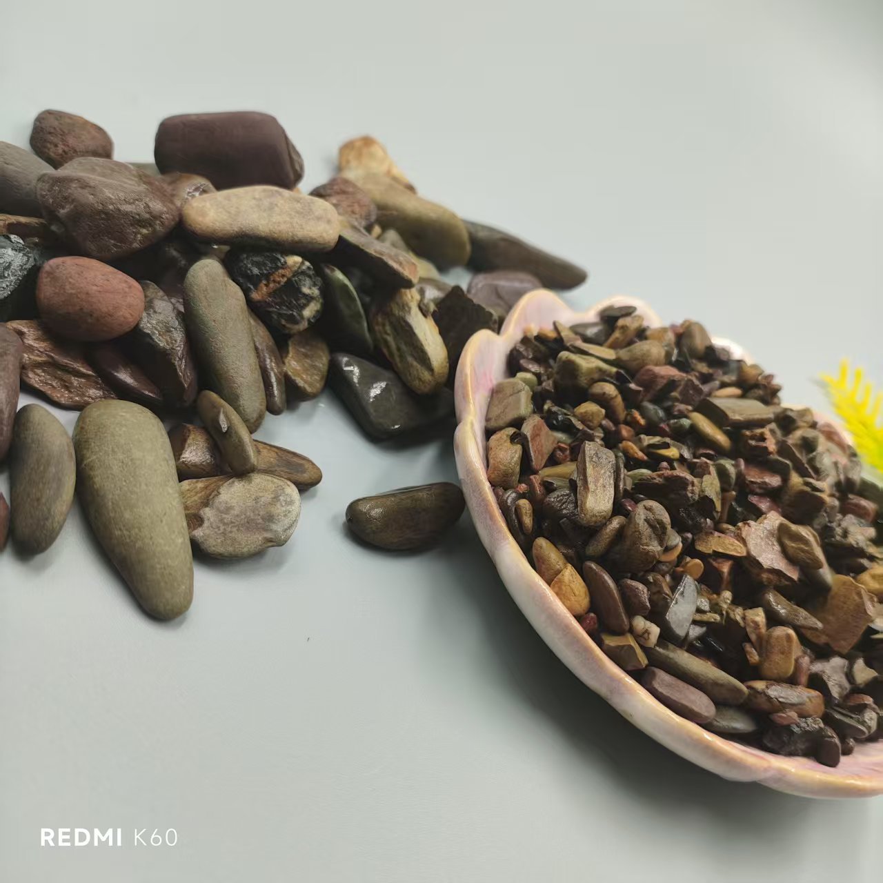 0875d8b373833e88705e04f6e4bd23