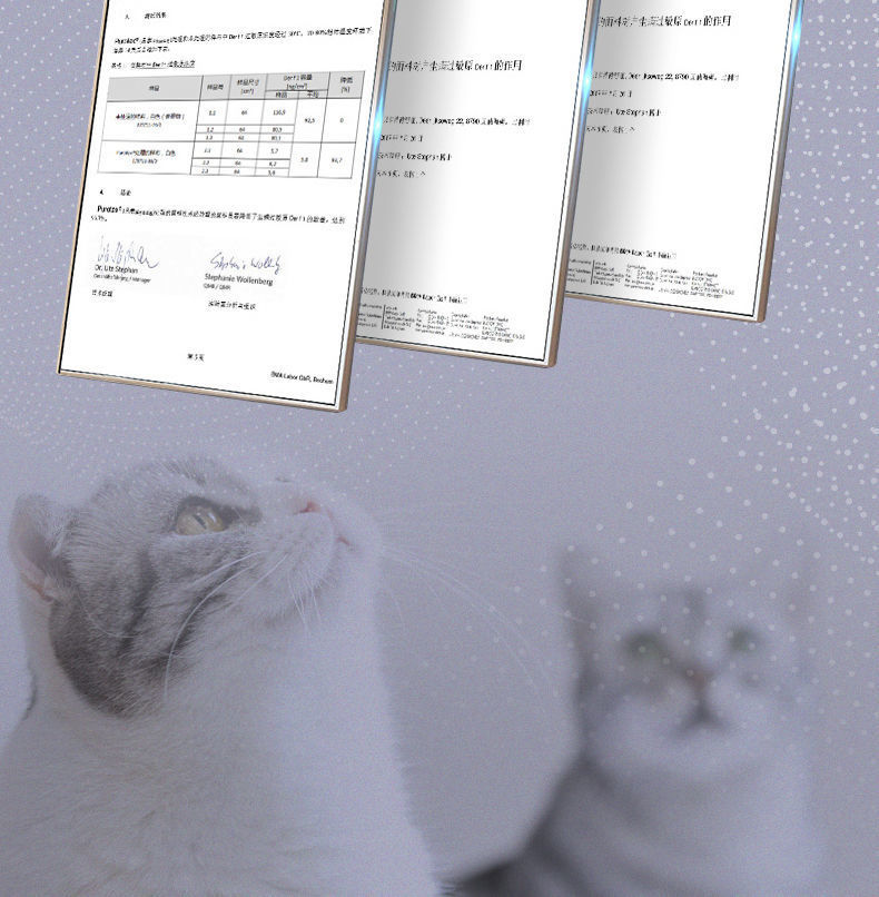 58ca5414-273b-41be-8381-4acf68a1b4b3.jpe