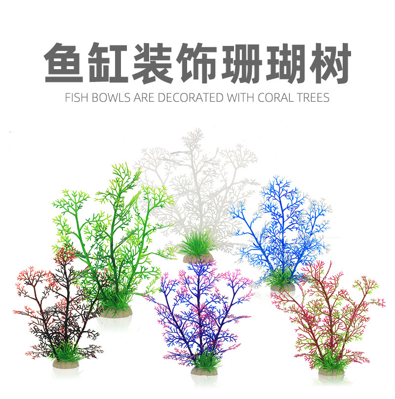 详情01.jpg