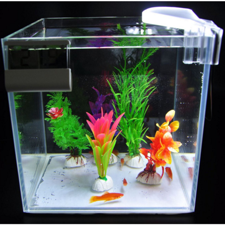 QQ图片20180518113103_副本