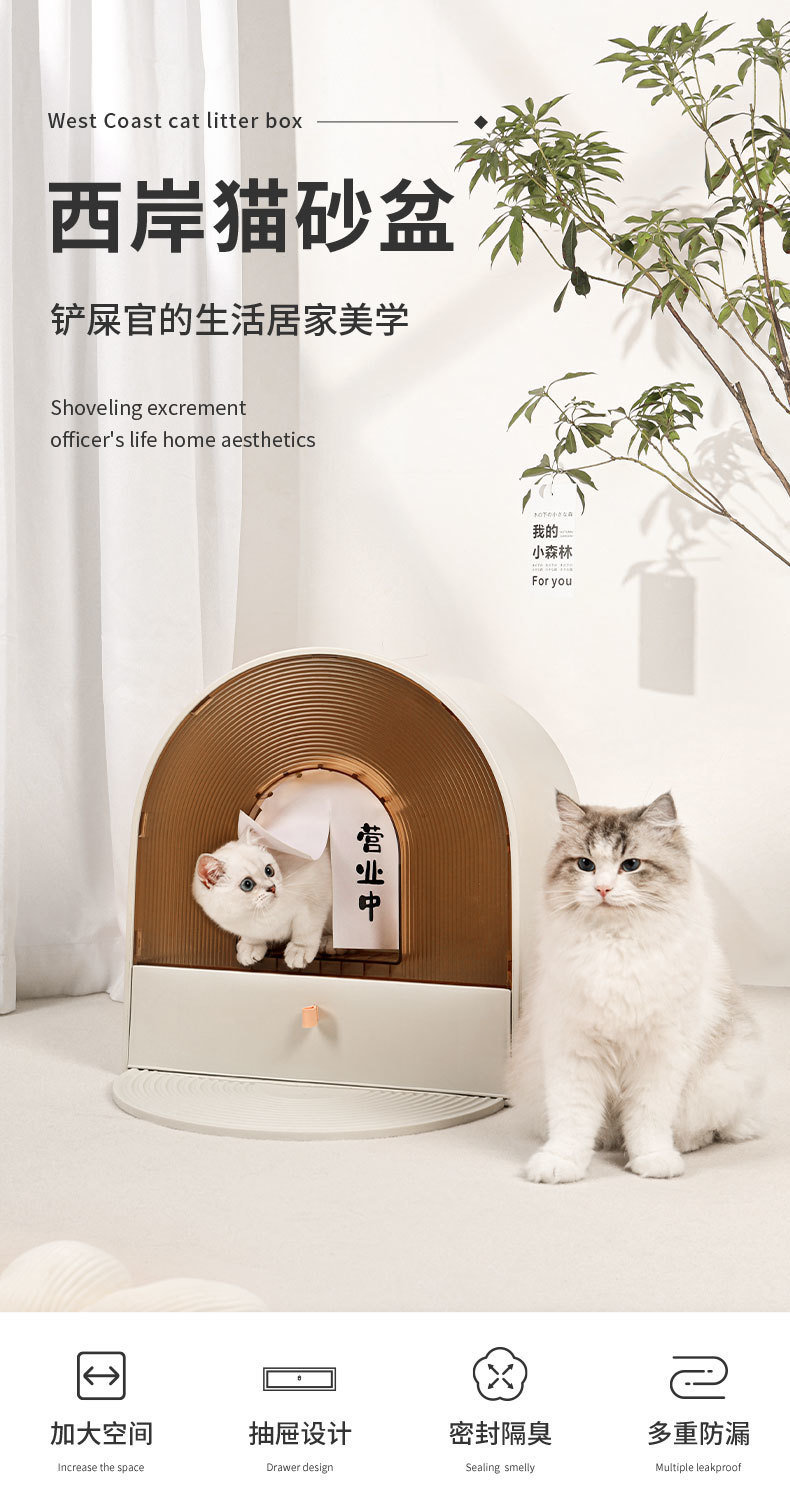 939d7559-9472-4793-85a0-e212dc818e3e.jpe