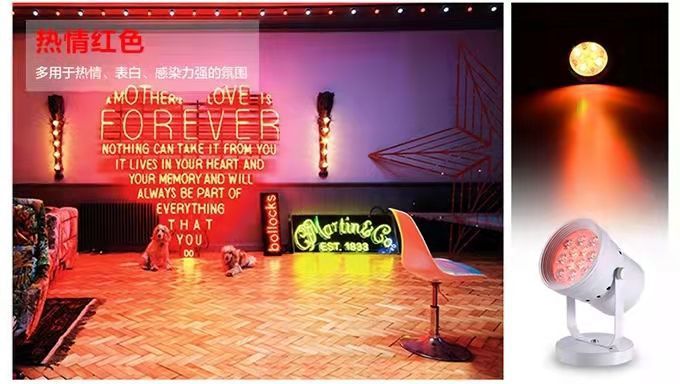 289f2774-9927-4c9e-b80d-aced98b7b42f.jpe