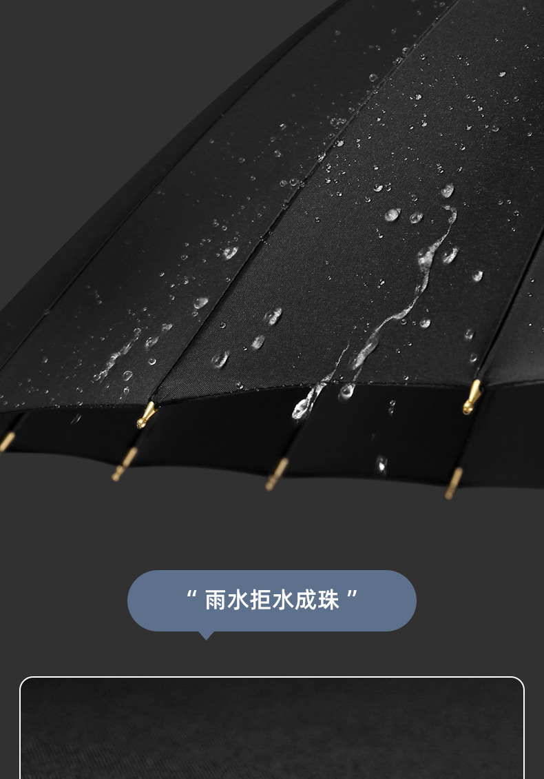 智贝下图_21.png