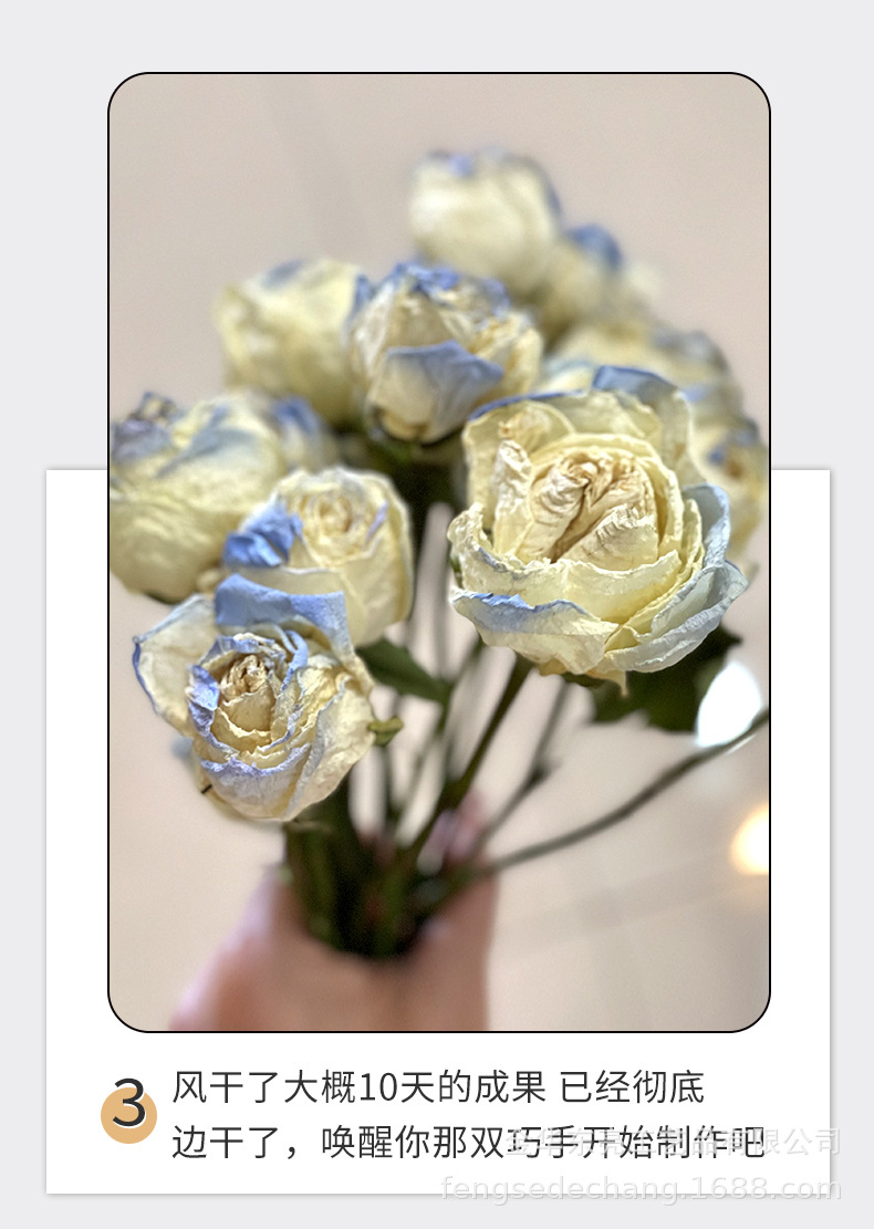 干花详情_05.jpg