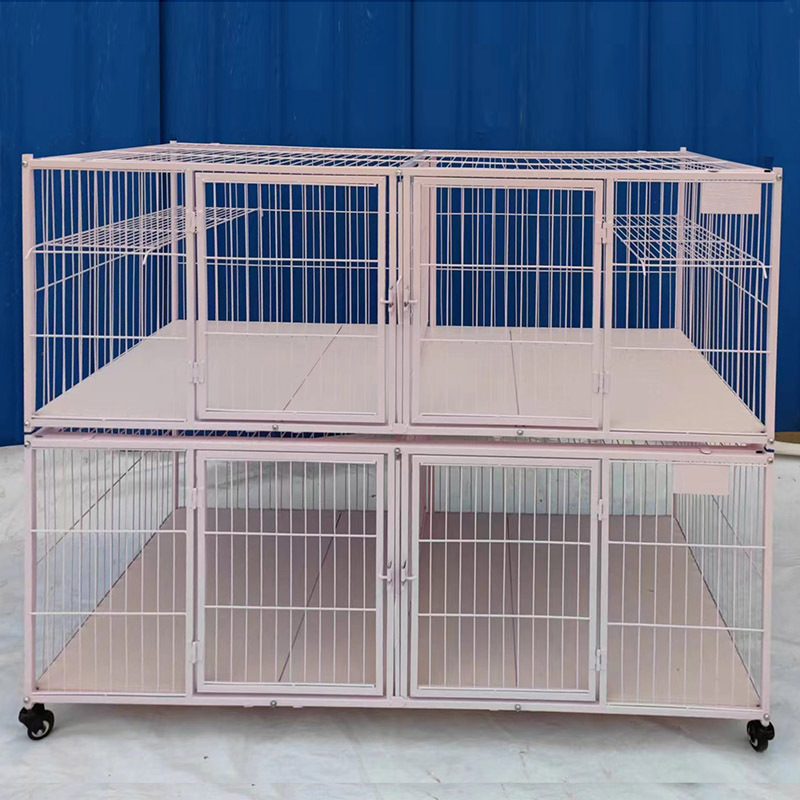 微信图片_2023ddd