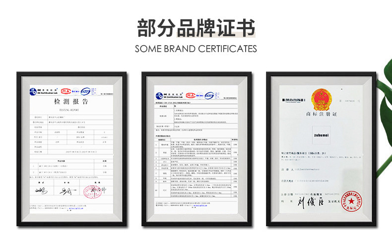 O1CN01ms45Rg1EXNkwKuuRE_!!2208