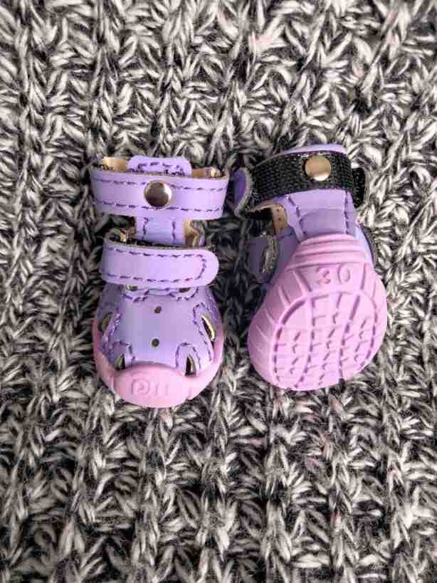 729025ee5ebd0acf47613d4909925b