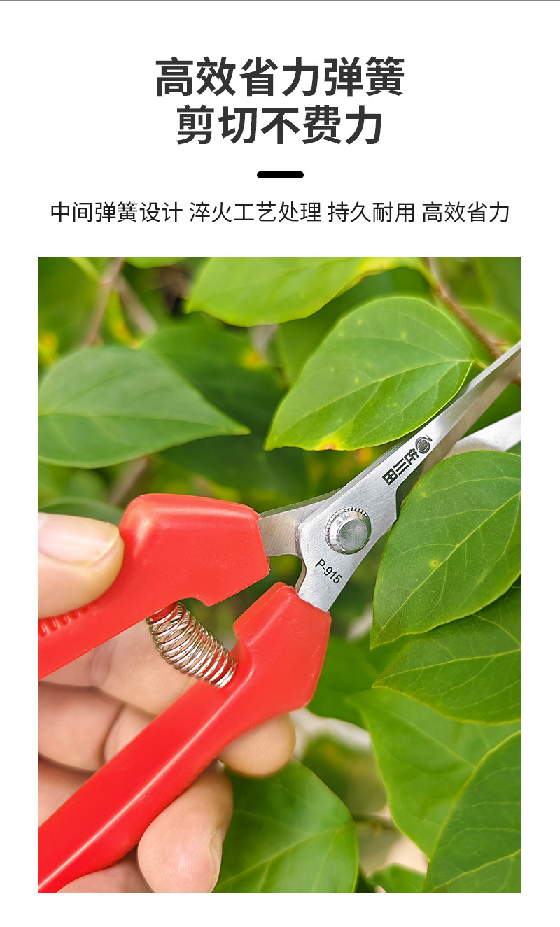 详情_10.jpg