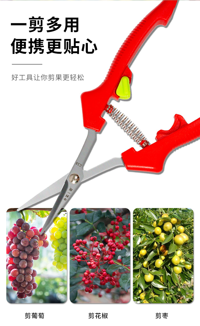 葡萄专业剪刀_02.jpg