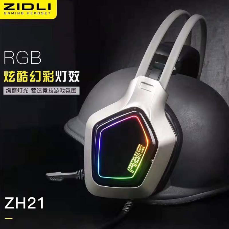 ZH21-800-5