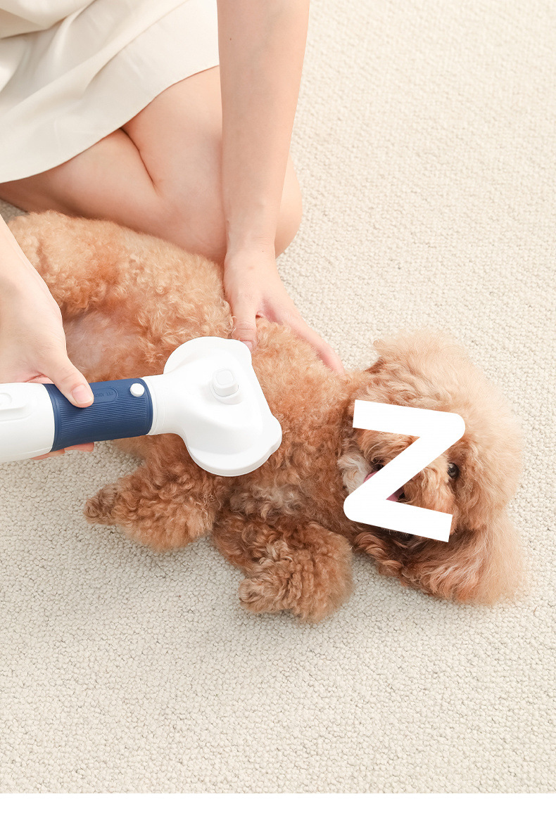 ad3ec175-b7a6-40b6-bc7c-8e23f08d4fb9.jpe