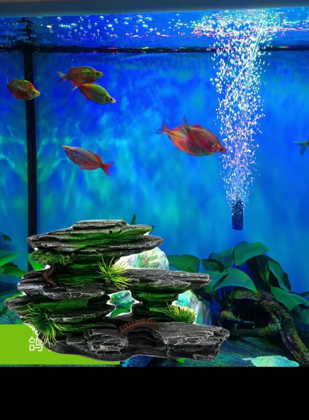 微信图片_20210720235106