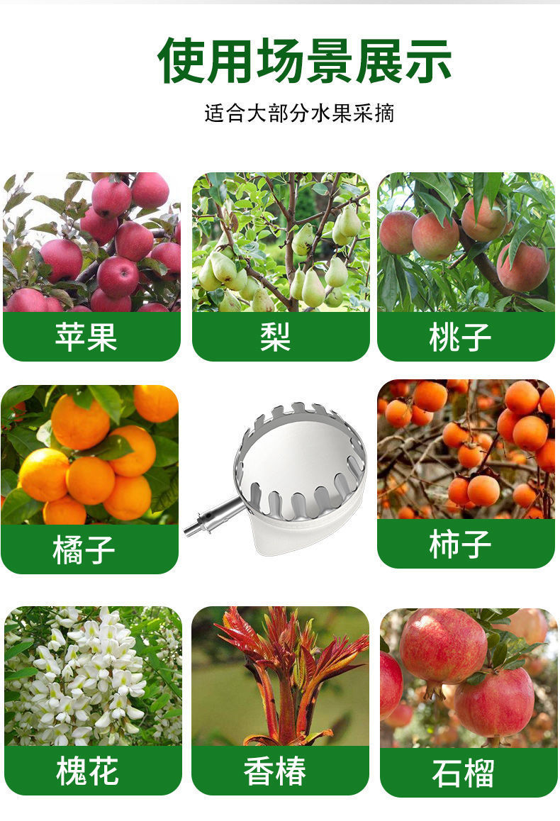 8a4b82aa-1ef7-4bc3-8186-4c118b3347fc.jpe