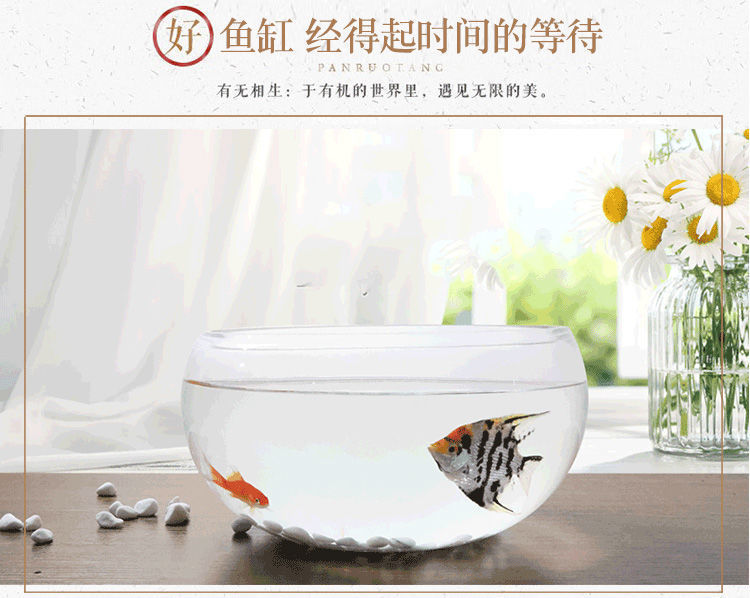 ccd68e96-5903-4f64-8a46-3a43520f5cf0.jpe