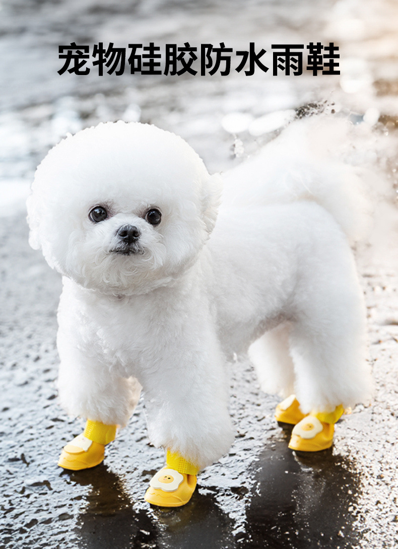 ed535dec-6061-4a63-be8c-43a738b6df5c.jpe