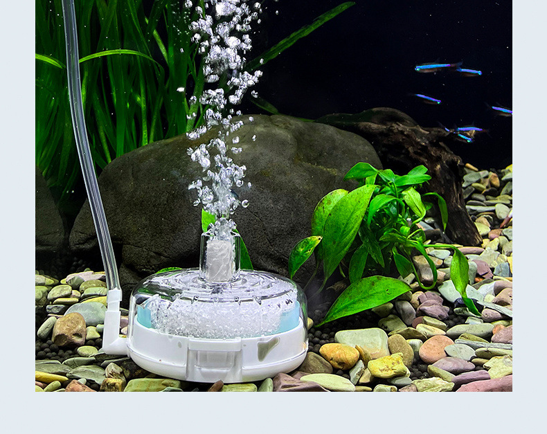 a200fe11-8f88-4507-a470-226be9318e31.jpe