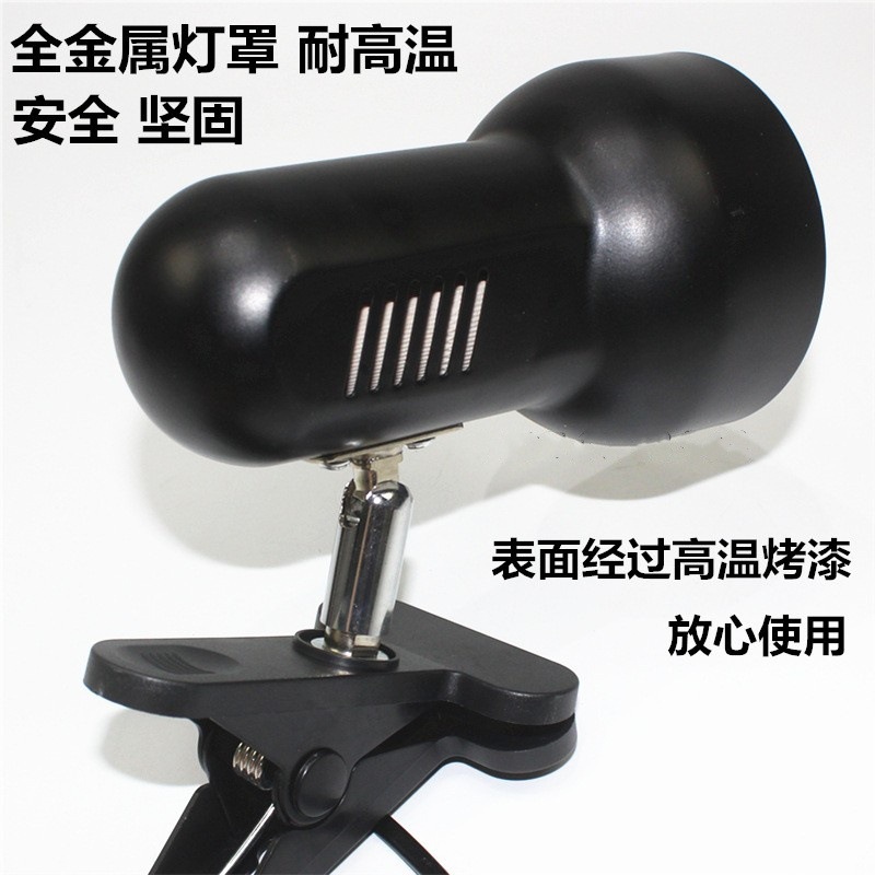 11402239124_1905942197