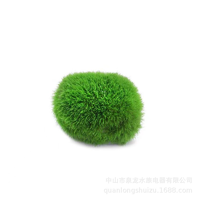 微信图片_20221227170033.jpg