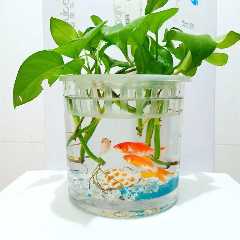 e79bb1c9-6e33-424e-94b5-04216b4324ed.jpe