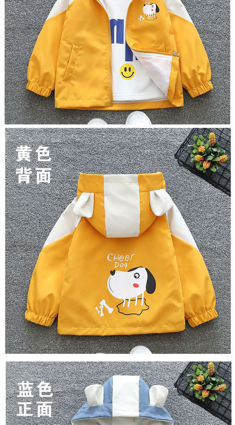 13259237-2592-4ba4-9d23-fff88aa73005.jpe