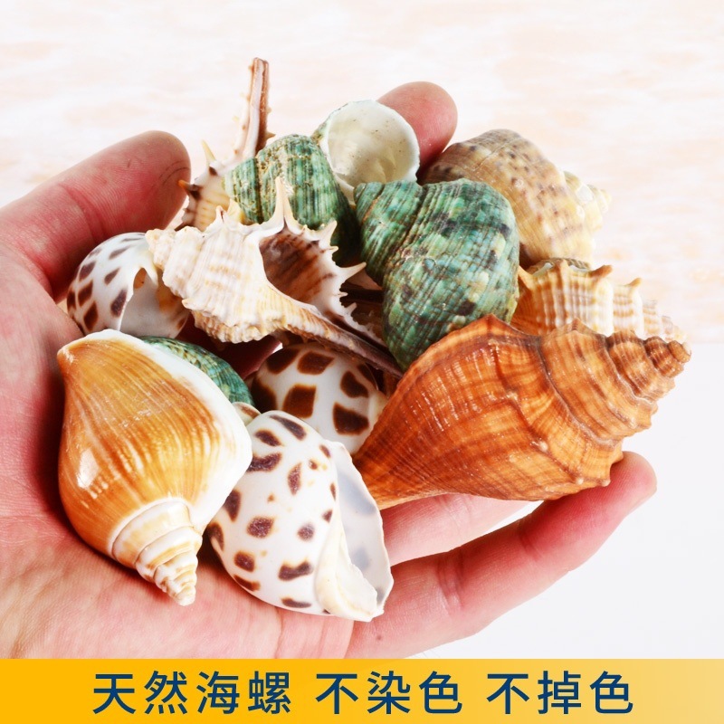 a64f3319-fb53-4511-b7ea-ae5dcb6cd309.jpe