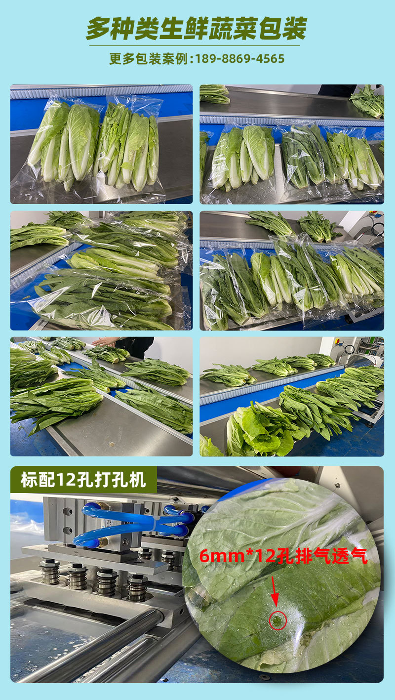 蔬菜样品详情
