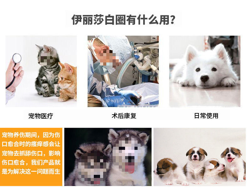 82833167-3e13-42db-a817-41e0e701dd60.jpe