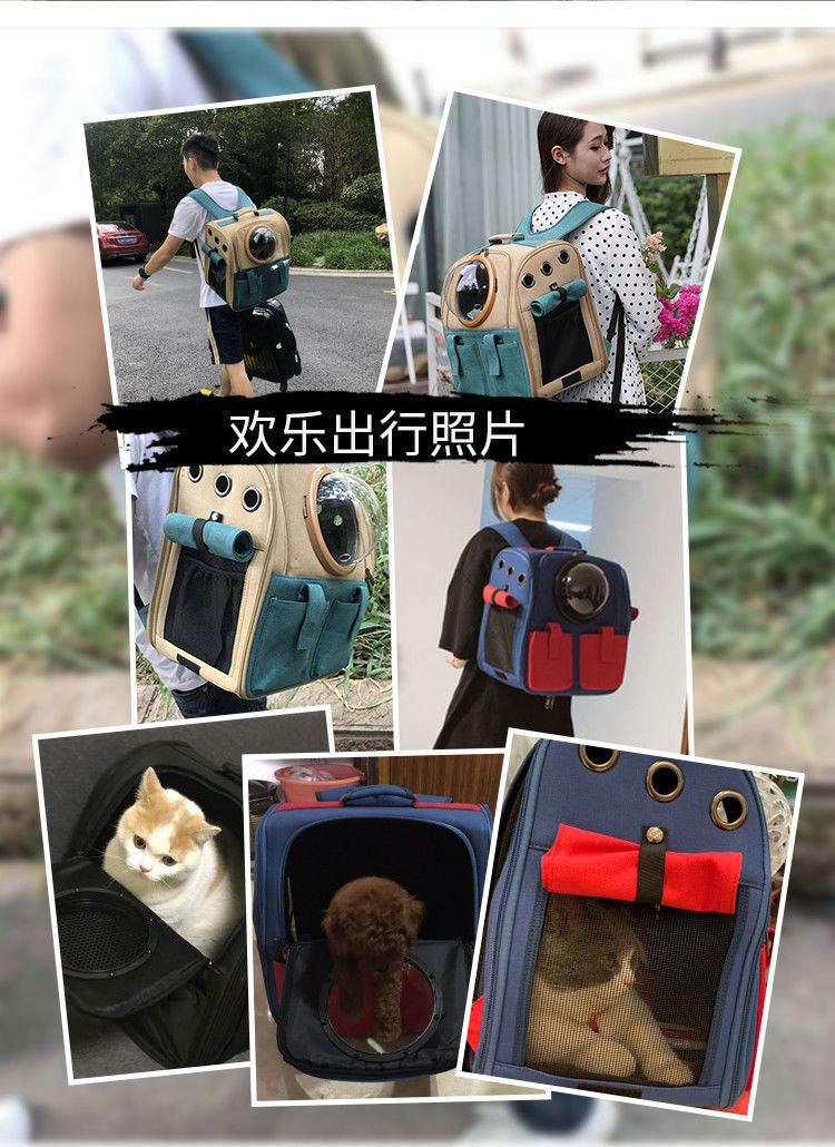 c7b60635-4f3f-4ceb-bf94-42bd6779d34c.jpe