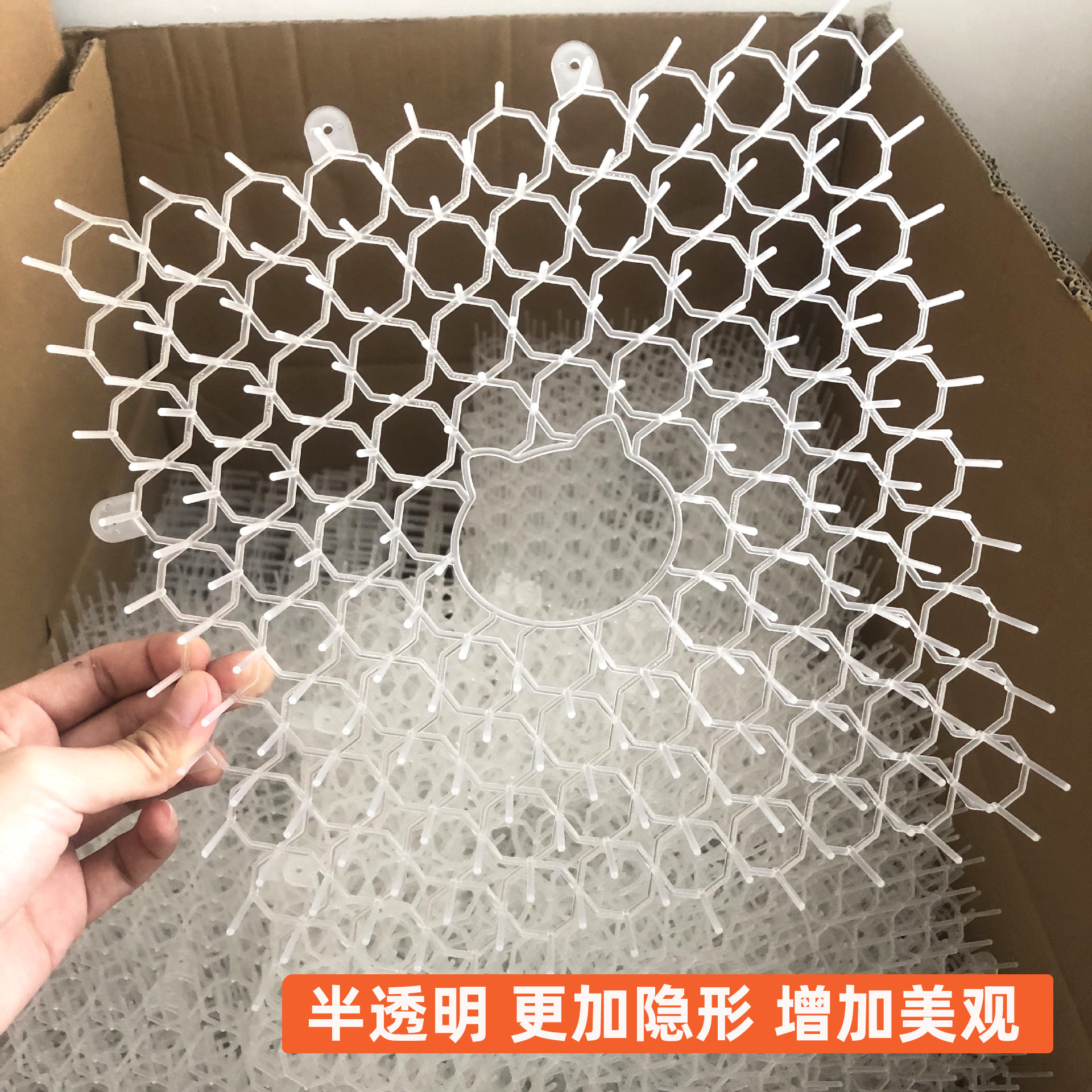 11203244405_819968841副本