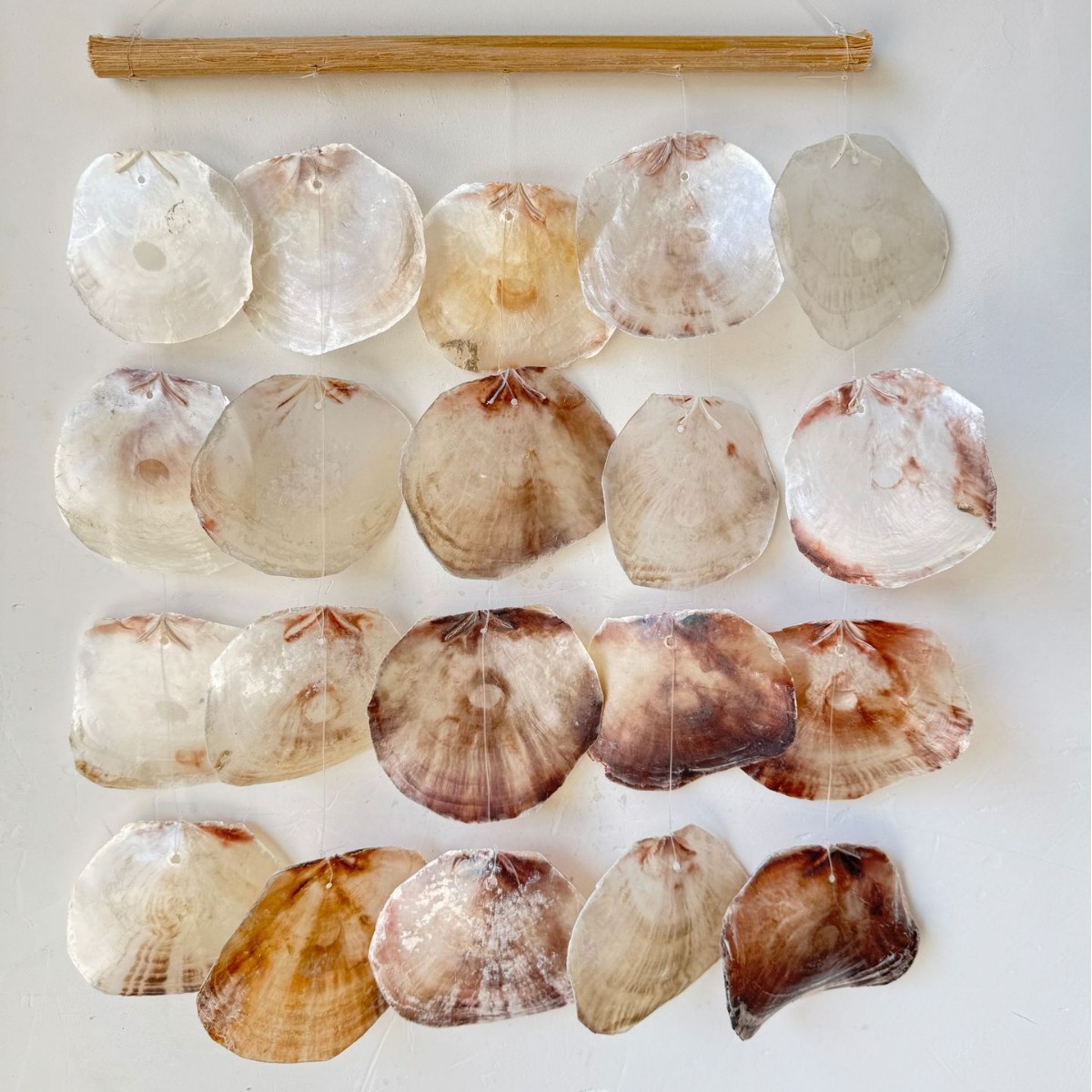 2024-11-12 11:35:39.jpg