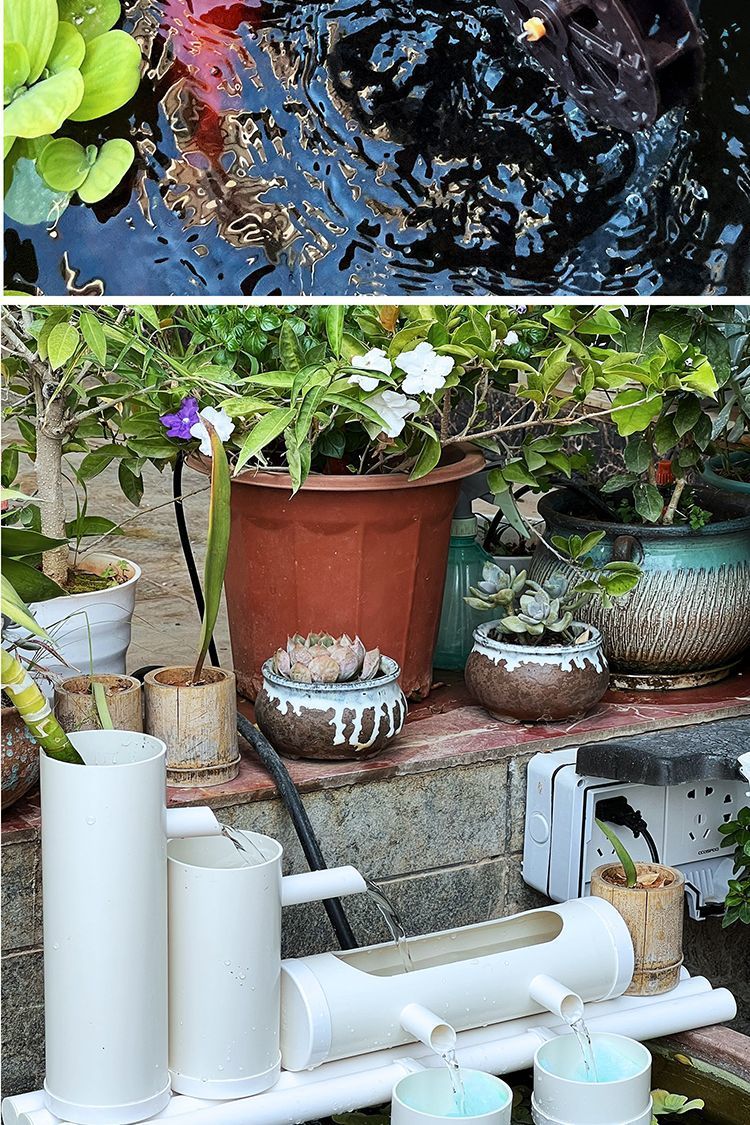 fbf739b3-f26c-46e4-ae08-a980a2875198.jpe