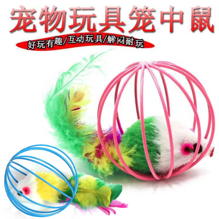 展仑