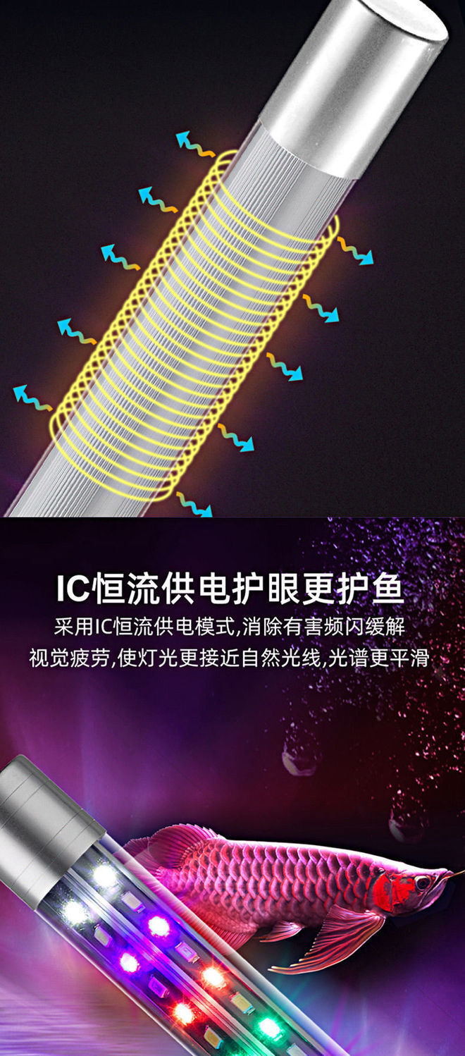 40e3274e-7c08-4b14-87b2-34fca6f448d9.jpe