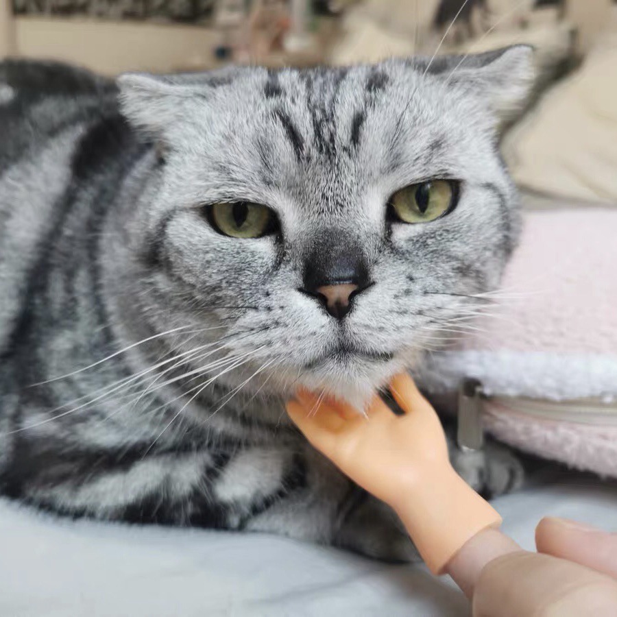 微信图片_202104101618019