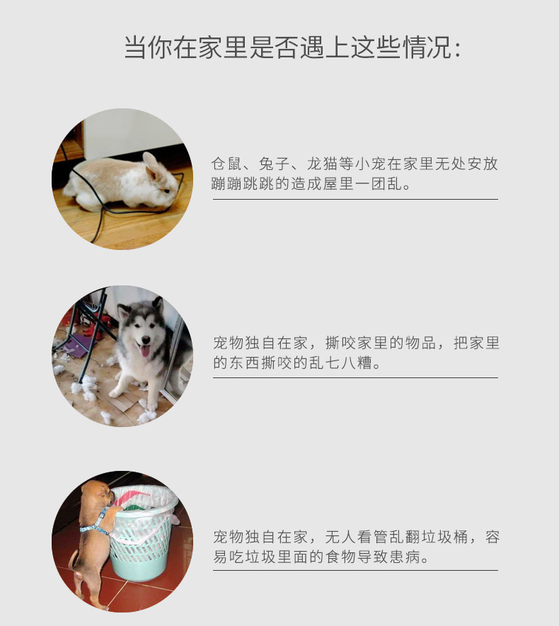 详情-02.jpg