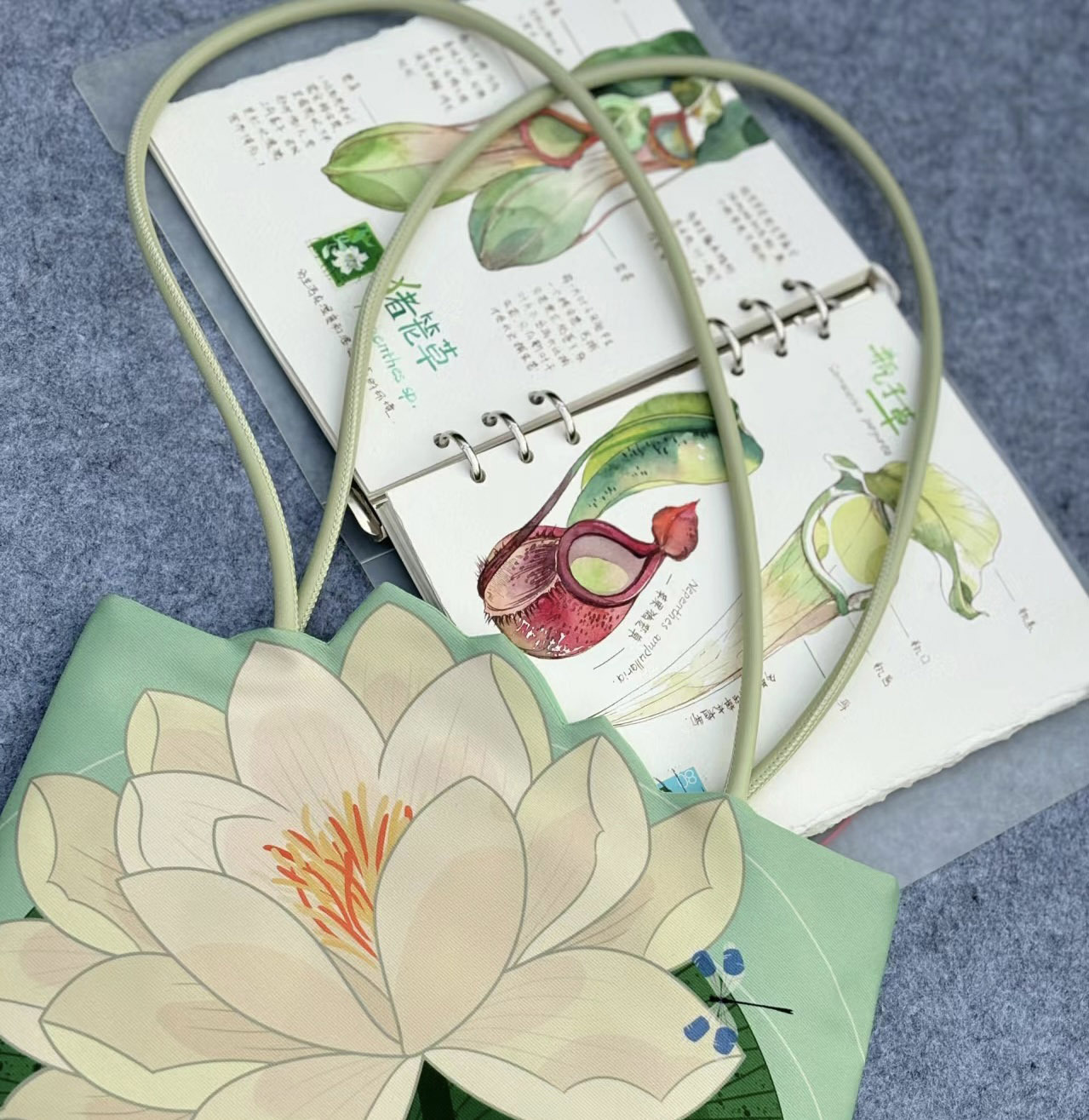 微信图片_20240407124348