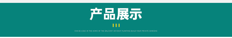 O1CN01t9AYwn26pEV9O95RA_!!9550