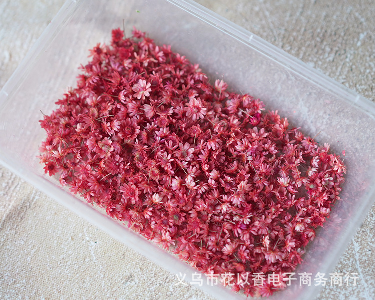 星花头—义乌花以香