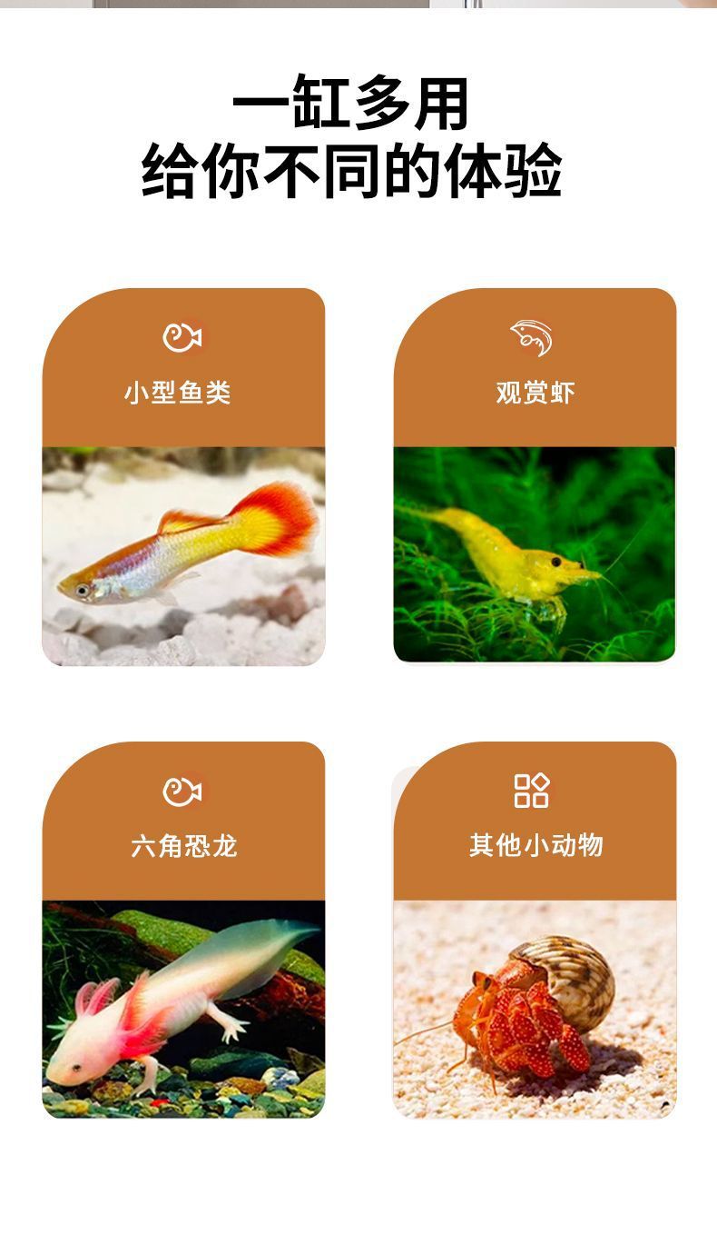 72e9ee4b-2bd1-4a6b-8042-cdcd9c882974.jpe