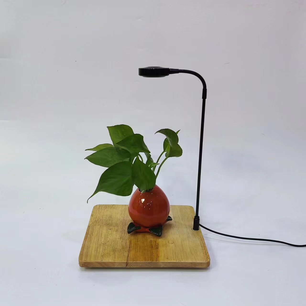 微信图片_20231114224511