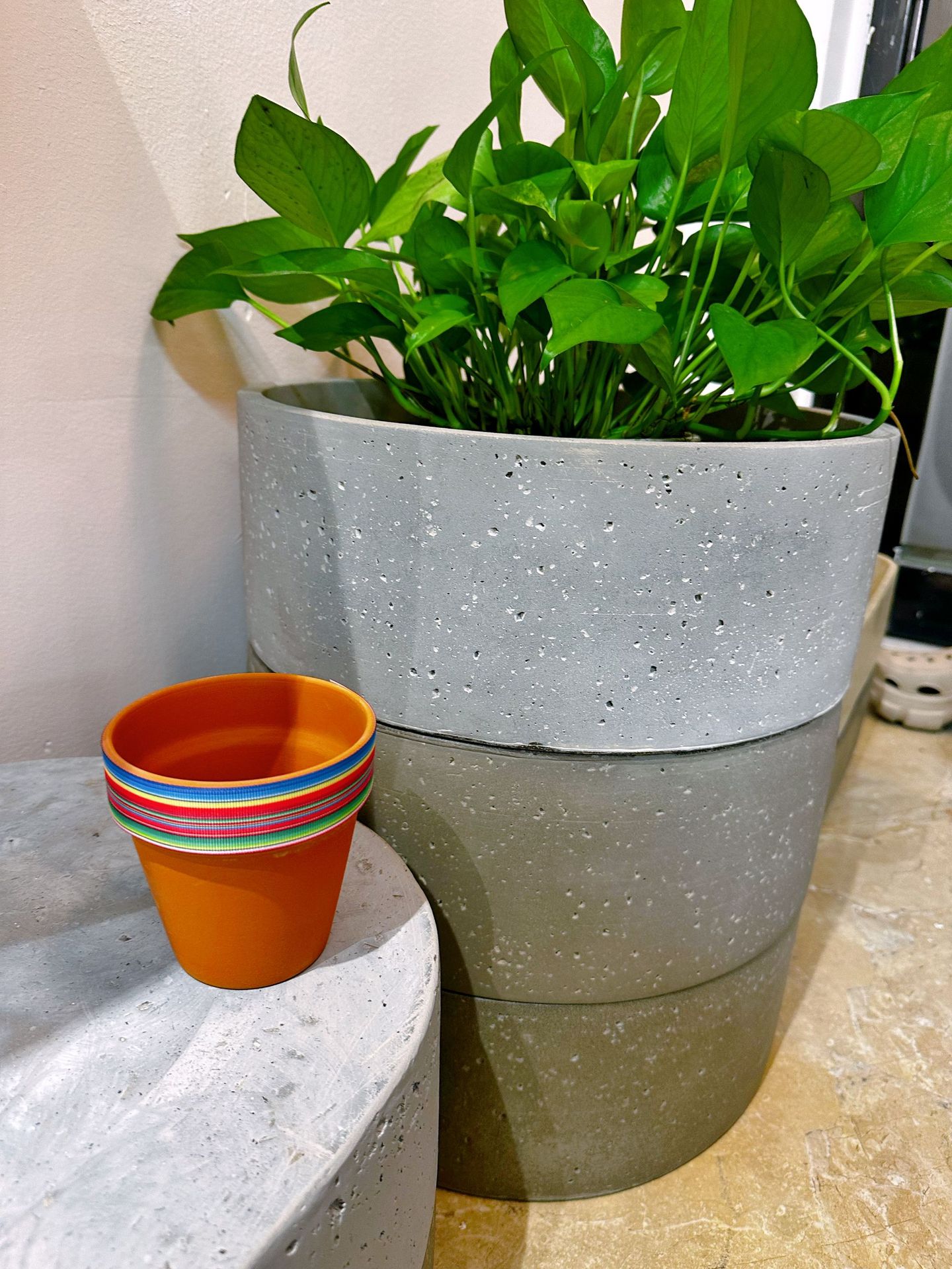 微信图片_20250331173041