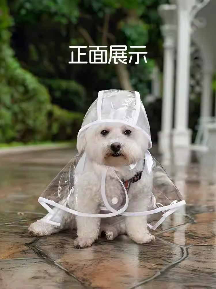 112817e2-33e8-4c27-a5de-c5599e3956e6.jpe