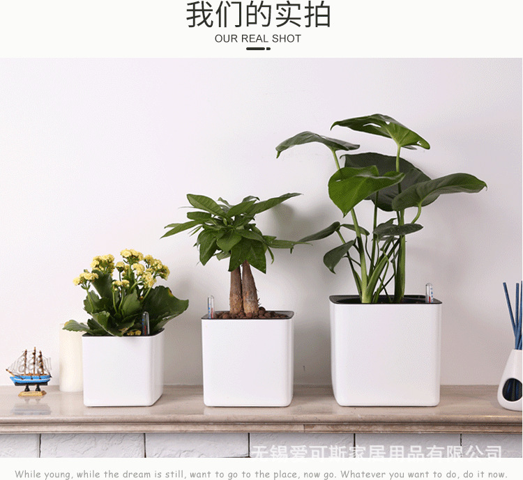 详情页_06.png