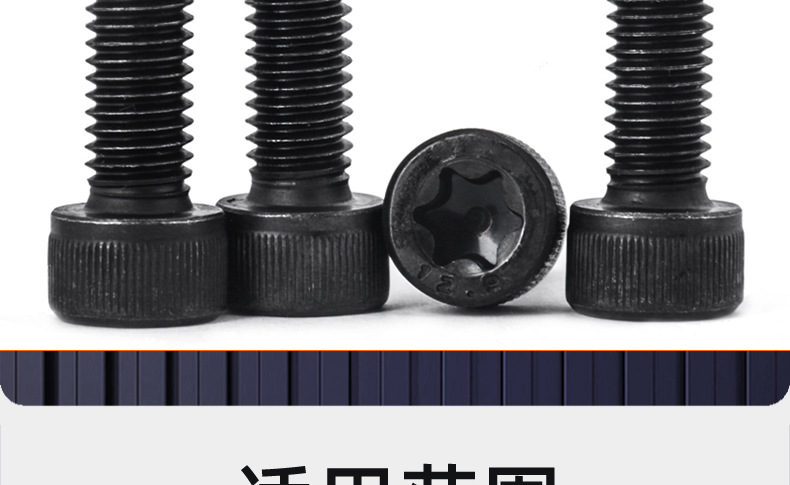 碳钢12.9级杯头梅花螺丝_03_18.jpg