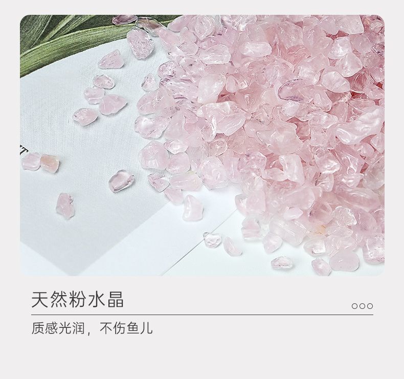 27737cad-21f2-4808-9cf4-9f44e9f80d9f.jpe