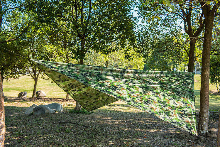 718ff0d6-e3eb-45d2-9853-51820bd3d267.jpe