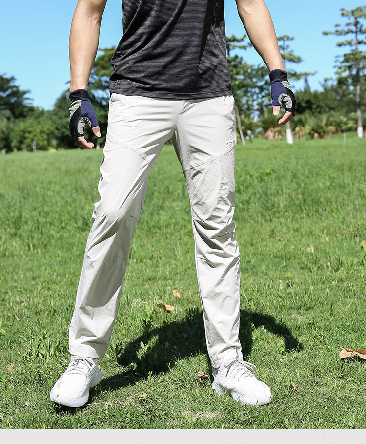 31b46f29-12a5-4b66-881e-40cc67cb313b.jpe