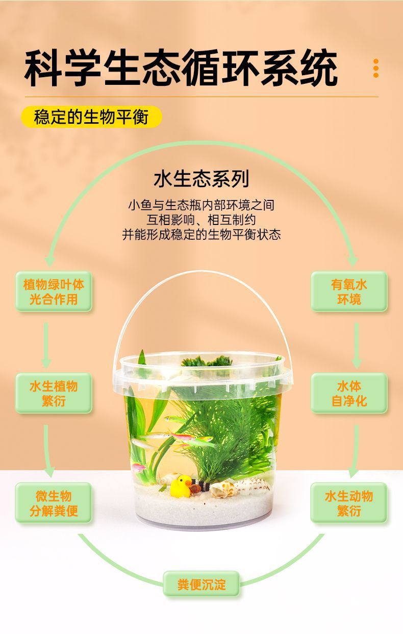 84ffb27e-ed2f-46c4-95b1-dffc98ccabea.jpe